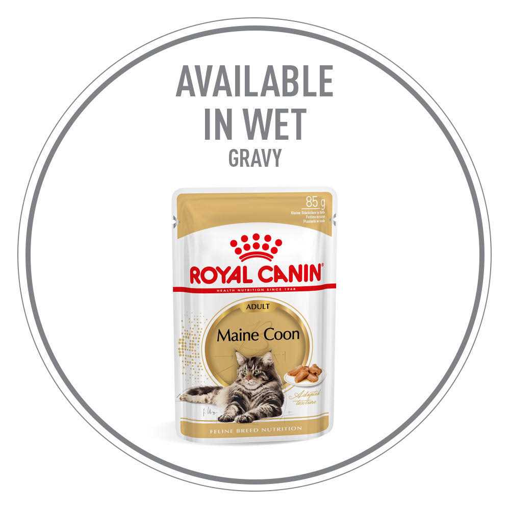 Maine Coon Dry Cat Food V842