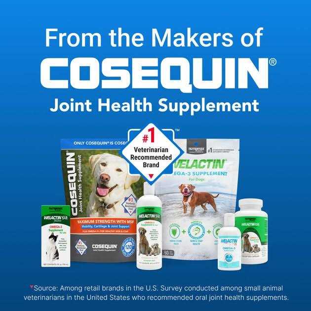 Omega-3 Supplement Dogs V57202