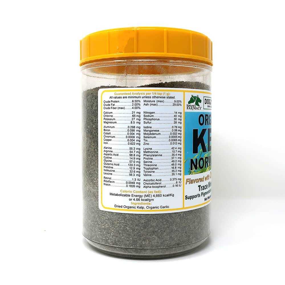 Organic Kelp with Garlic H893