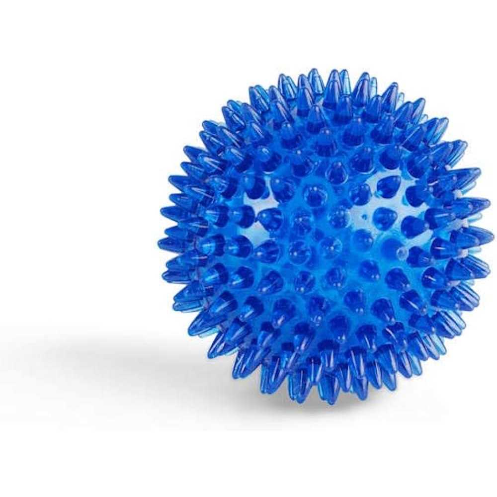 Spiny Ball Dog Chew Toy H475160