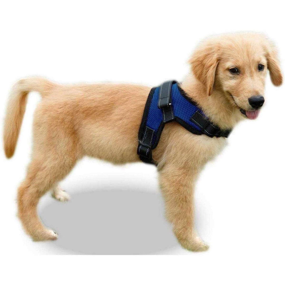 Adjustable Reflective Dog Harness with Handle W9328