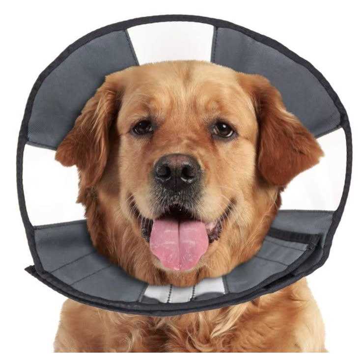 Soft Recovery Collar R177