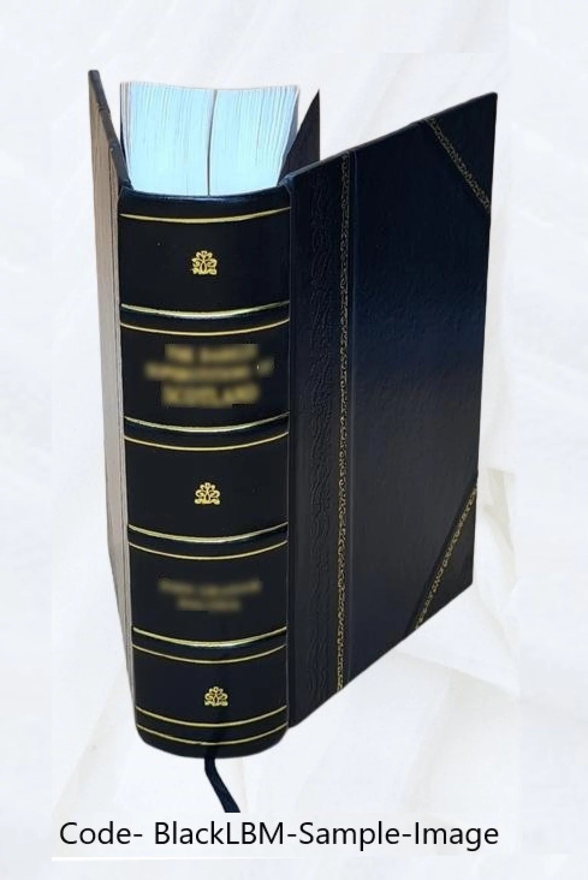 Leather Bound Book D53564
