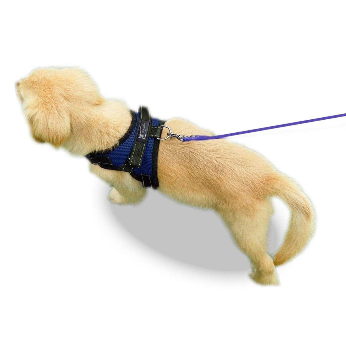 Adjustable Reflective Dog Harness with Handle W9328