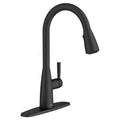 Matte Black Single-Handle Pull-Down Sprayer Kitchen Faucet A67210