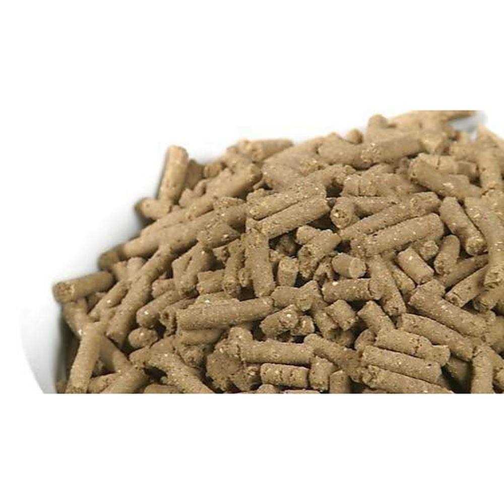Large Breed Adult Dry Dog Food C5077