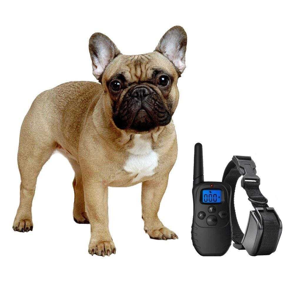 Shock Collar for Small Dogs with Remote S465072