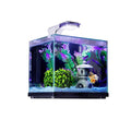 Glass Aquarium B7697
