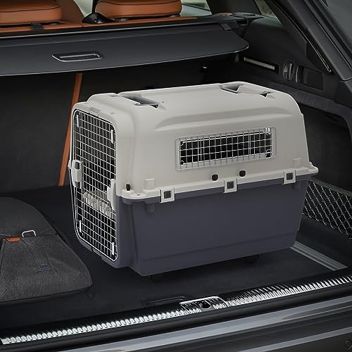 Plastic 22-Inch Hard-Sided 2-Door Top-Loading Pet Carrier Y449971