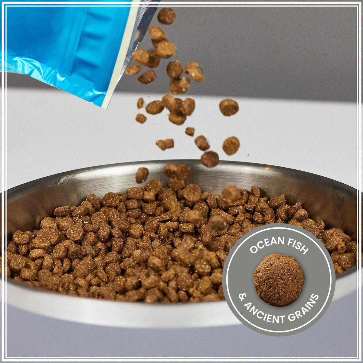 Ancient Grains with Ocean Fish Dog Food O408