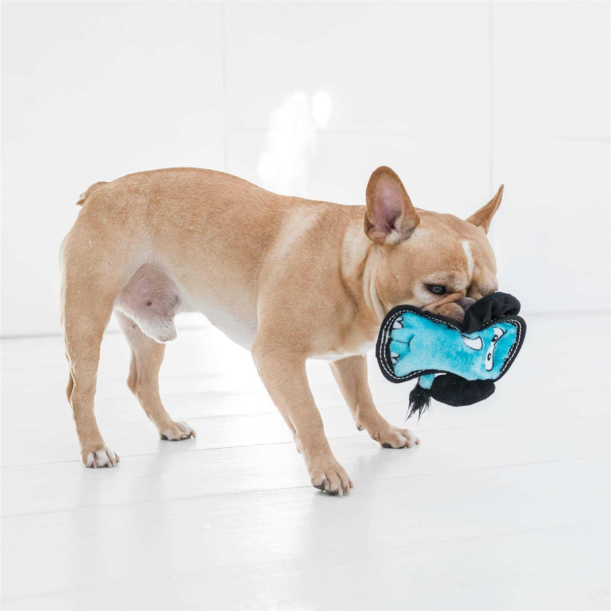 Tough Seamz Dog Toy B715534