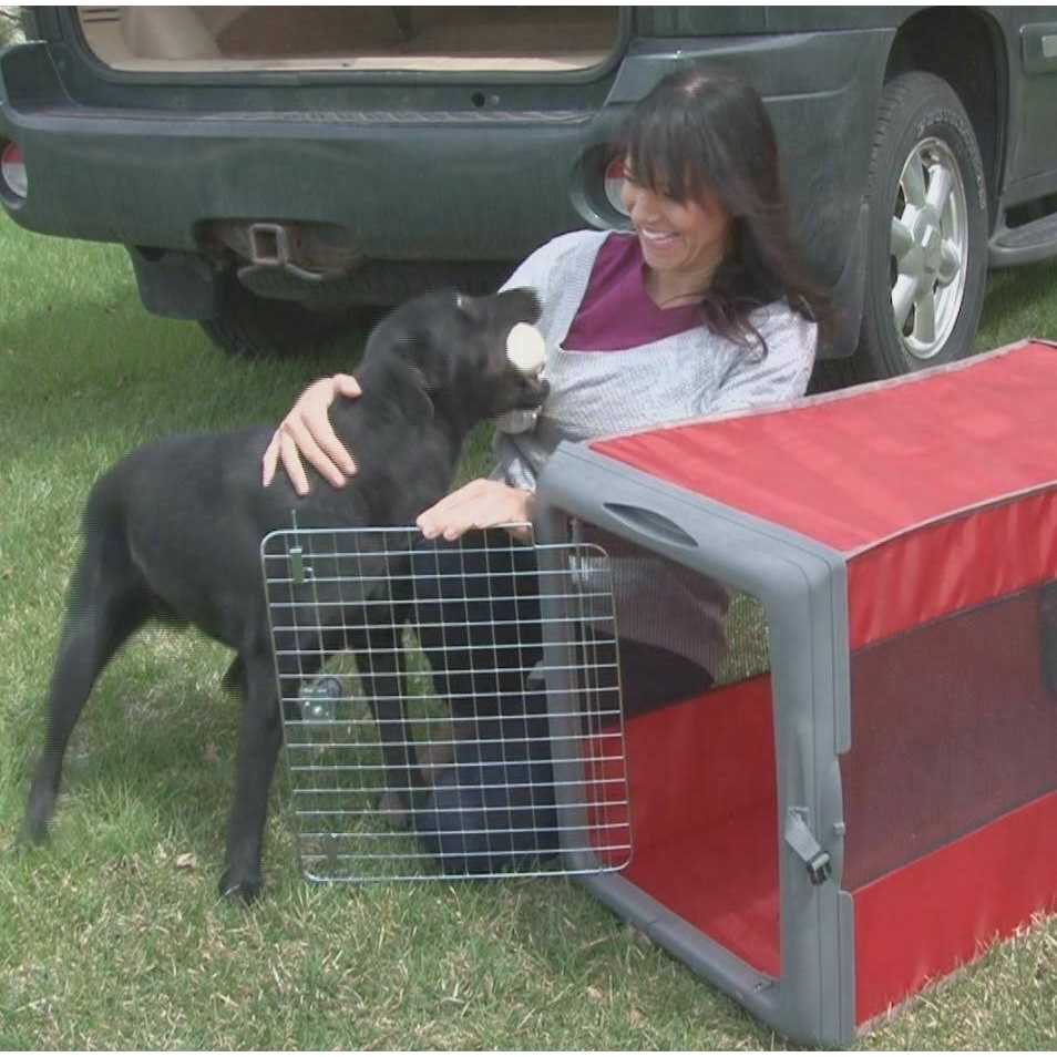 Pop up Travel Crate Z487