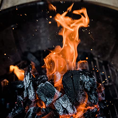 Premium All Natural Hardwood Lump Charcoal C542
