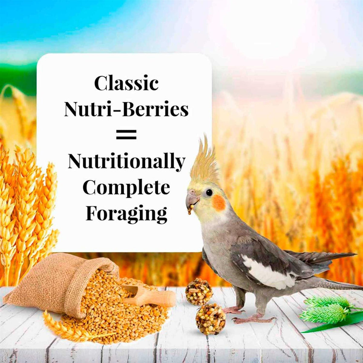 Nutri Berries Food X80335