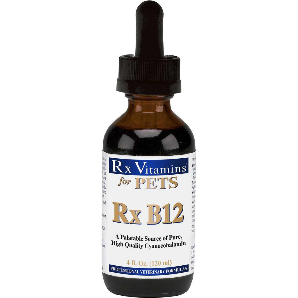B12 Liquid Digestive Supplement for Cats & Dogs R286746