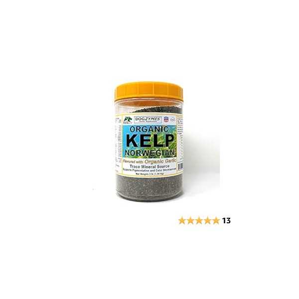 Organic Kelp with Garlic H893