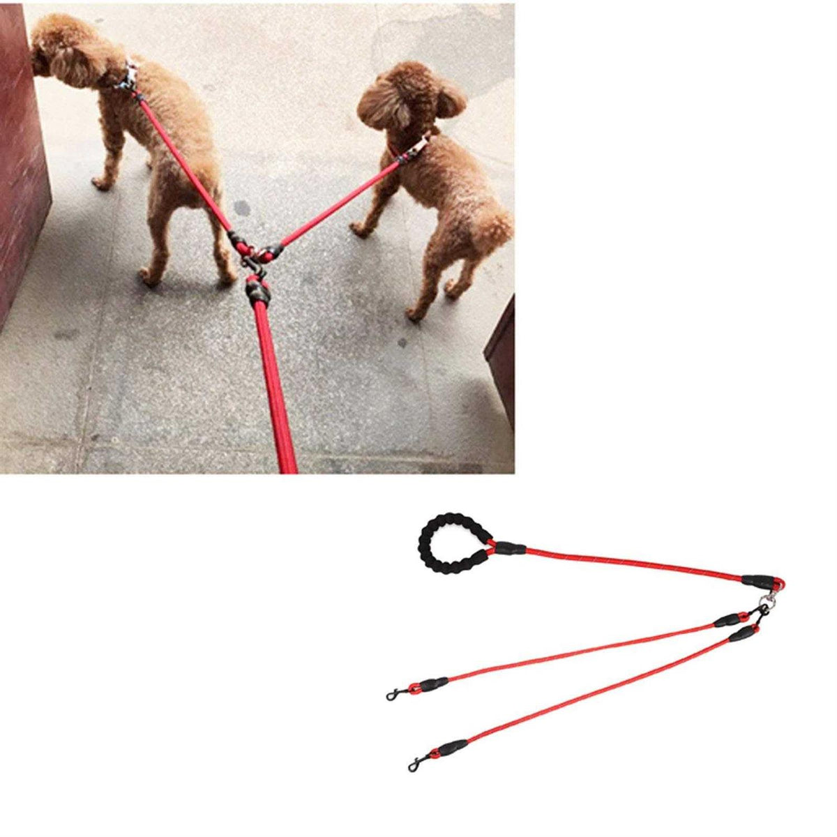 No Tangle Nylon Dog Leash F5810