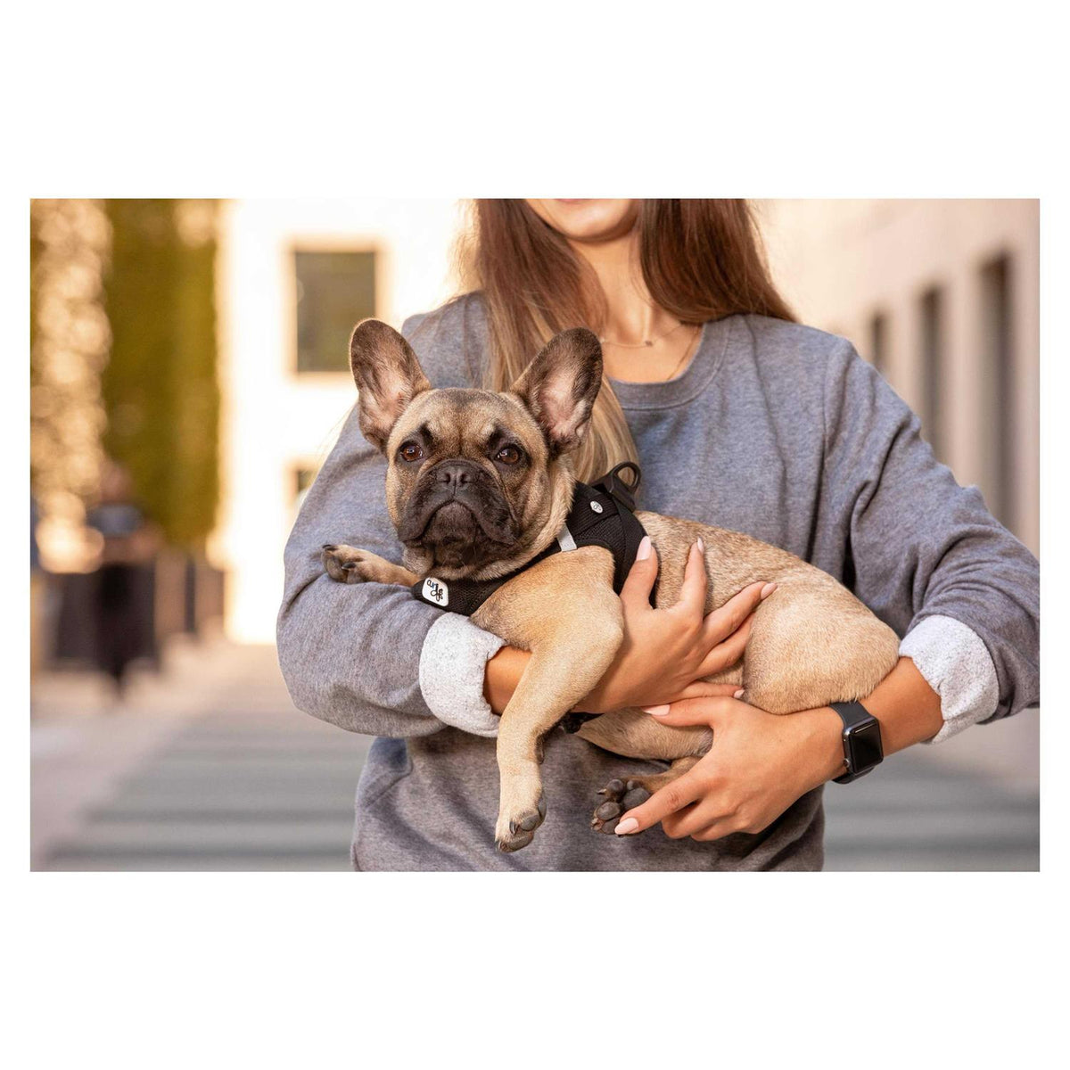 Air-Mesh Dog Harness M1200