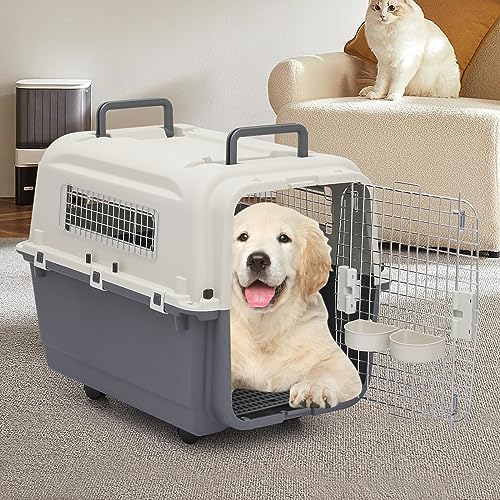 Plastic 22-Inch Hard-Sided 2-Door Top-Loading Pet Carrier Y449971