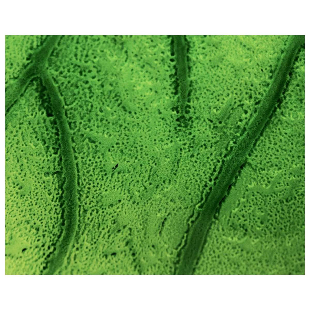 Green Coloured Glass Leaf Vessel Sink I6433