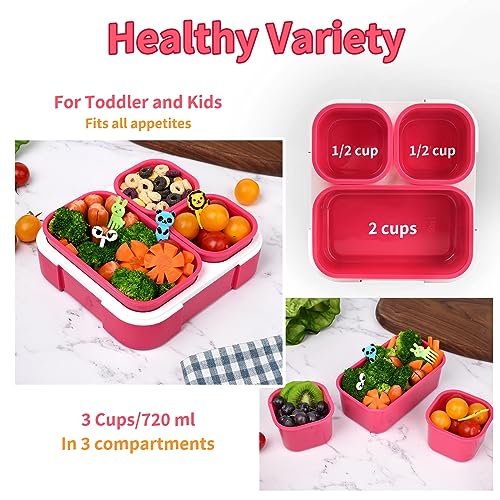 2 Pack 3-Compartment Bento Box Q34852