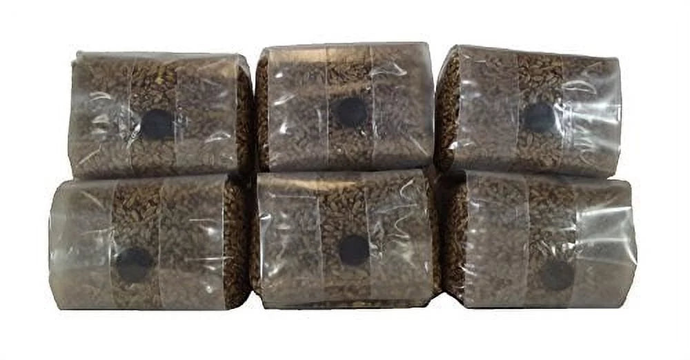 Sterilized Rye Berry Mushroom Substrate V425
