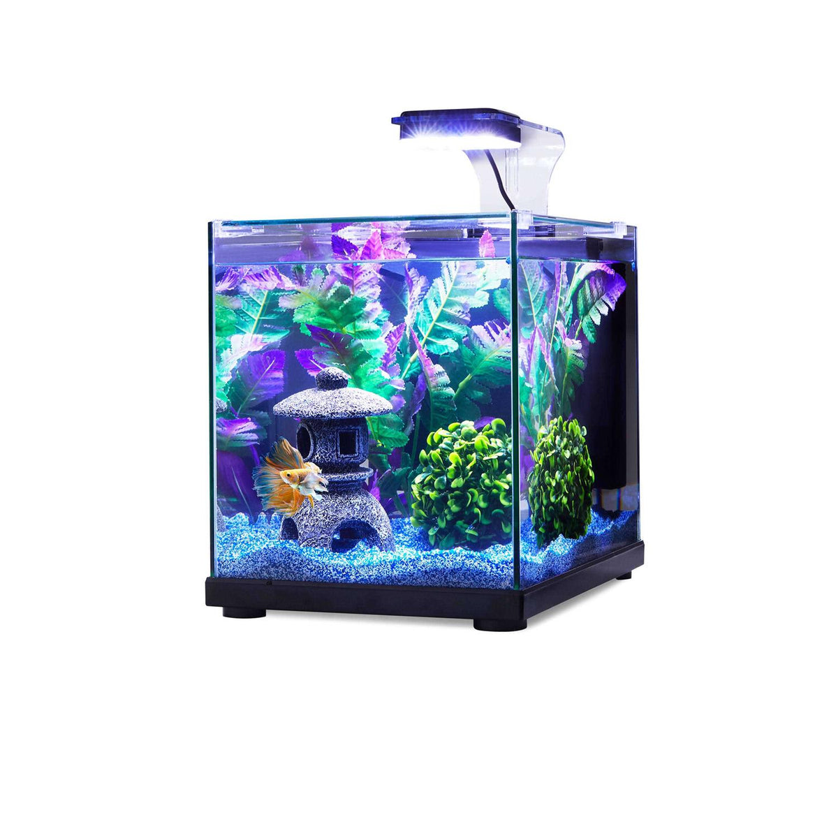 Glass Aquarium B7697
