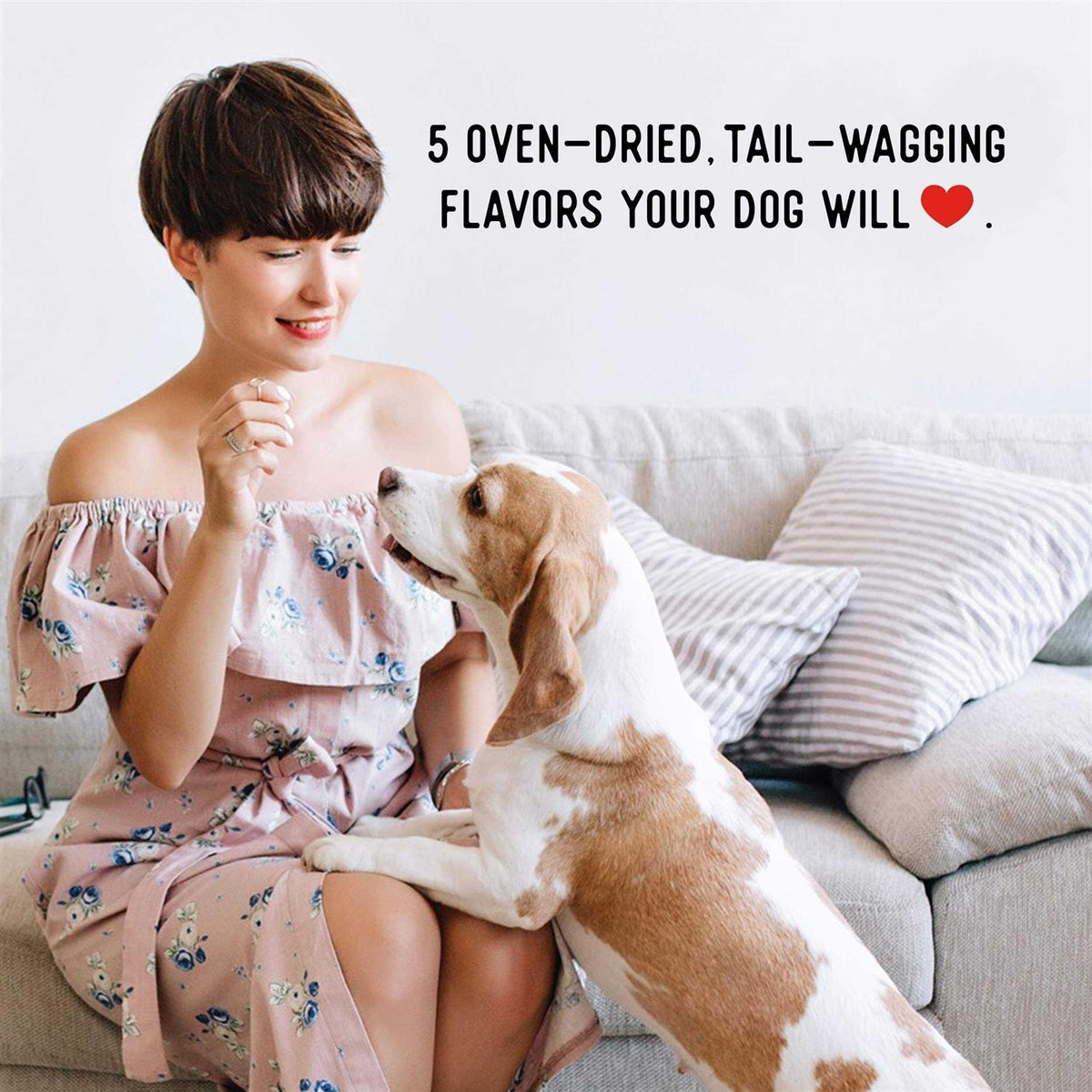 Beef Jerky Dog Treats O554483