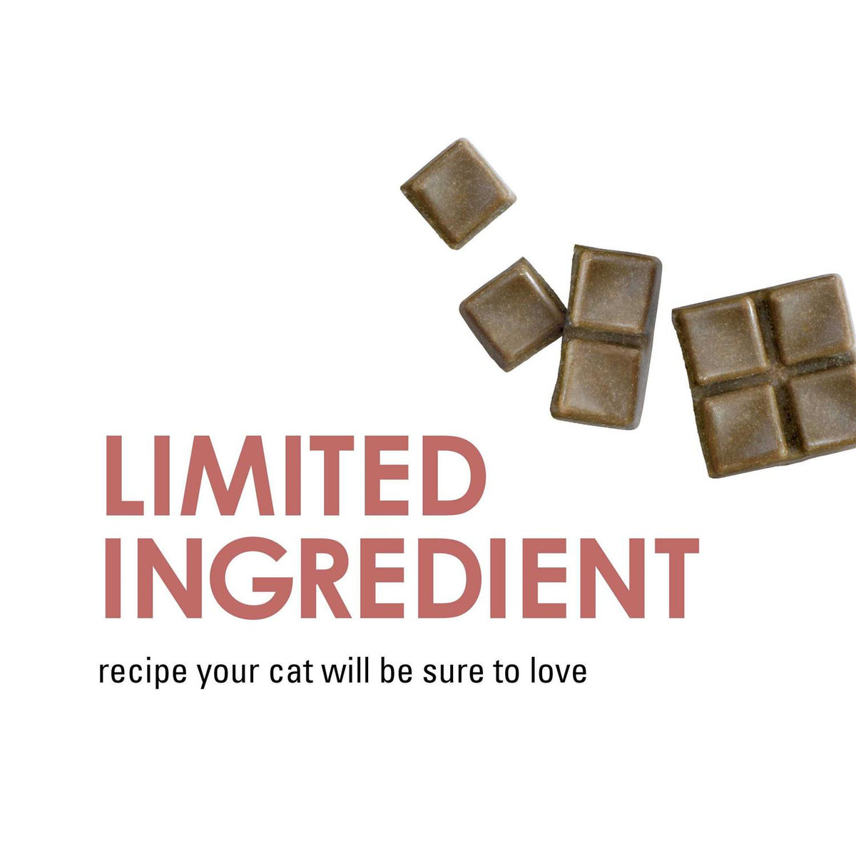 Limited Ingredient Salmon Flavor Cat Treats G5598
