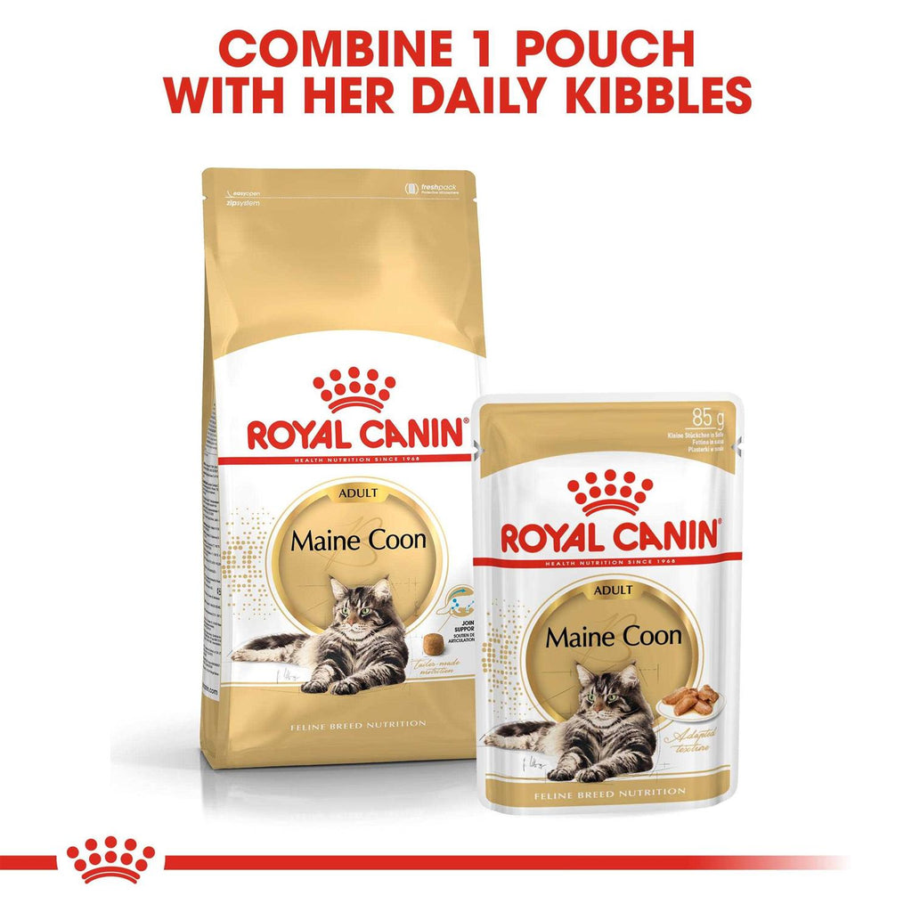 Maine Coon Dry Cat Food V842