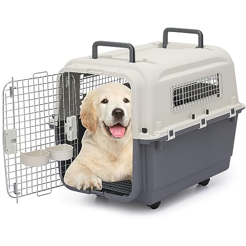 Plastic 22-Inch Hard-Sided 2-Door Top-Loading Pet Carrier Y449971