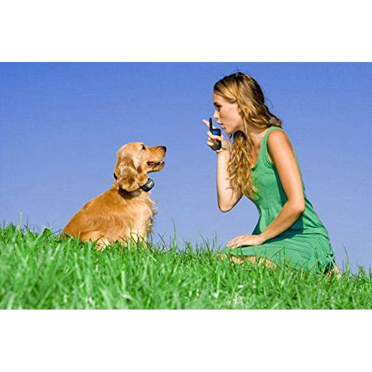 Shock Collar for Small Dogs with Remote S465072