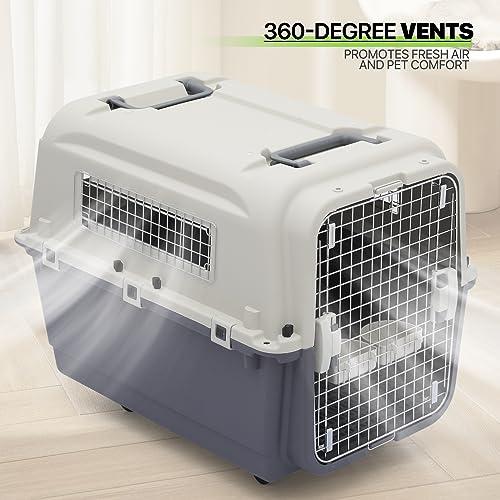 Plastic 22-Inch Hard-Sided 2-Door Top-Loading Pet Carrier Y449971