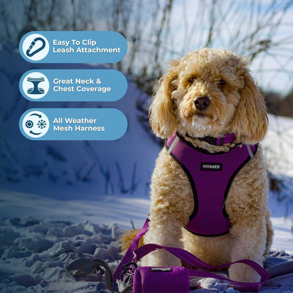 Step-in Air Mesh Dog Harness X341572