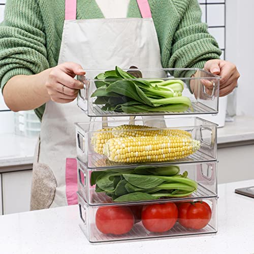 2 Pack Clear Plastic Stackable Storage Bin L220