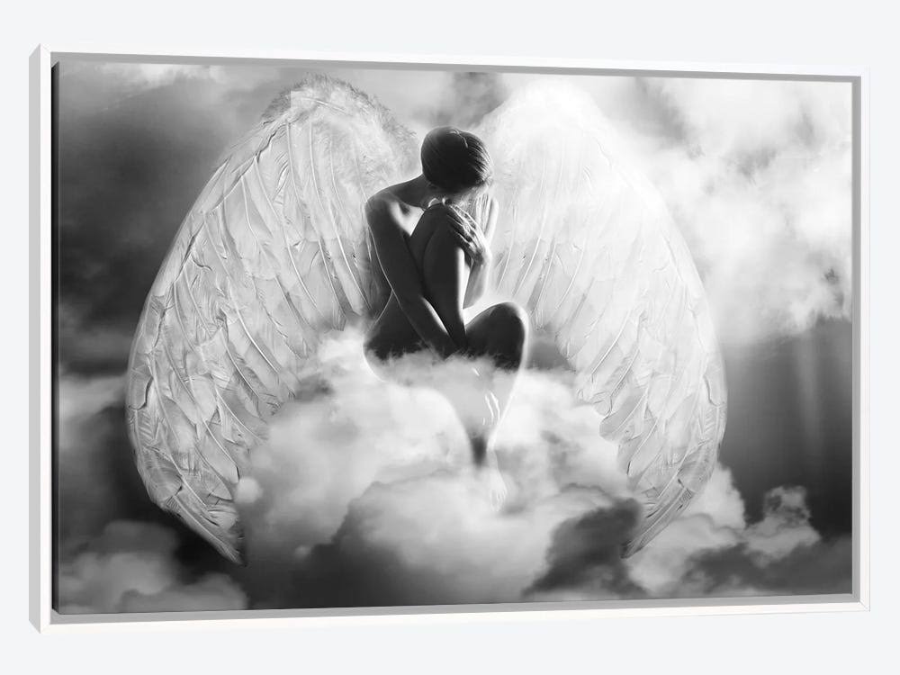 Framed Canvas Art White Floating Frame Angel Wings B1536