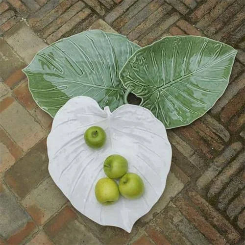 White Banana Leaf 50 W144934