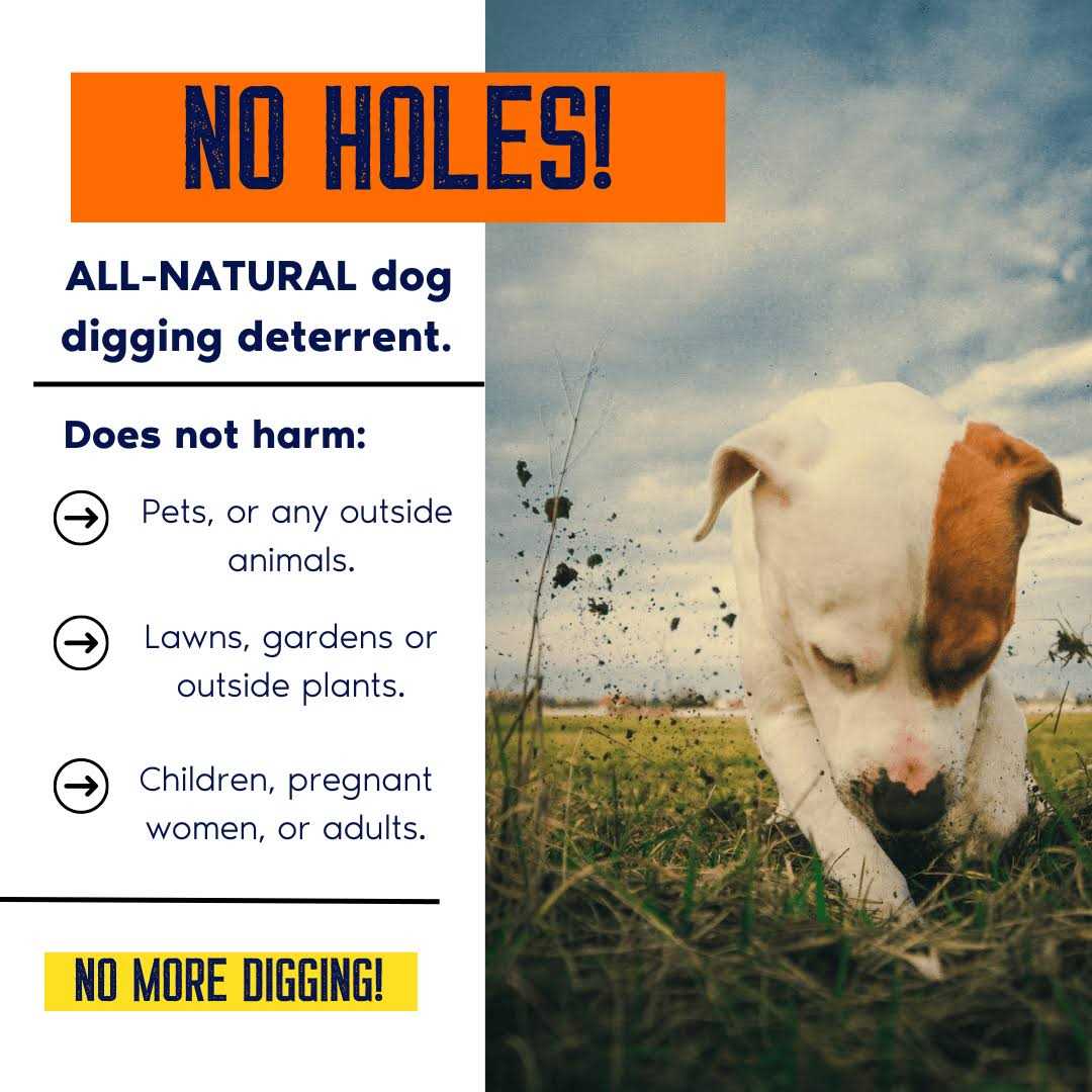 Digging Dog Prevention Spray C55695