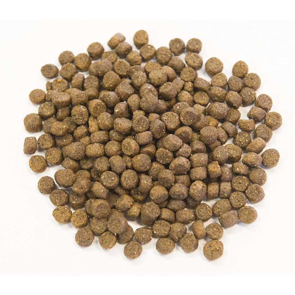 Ancient Grains with Ocean Fish Dog Food O408