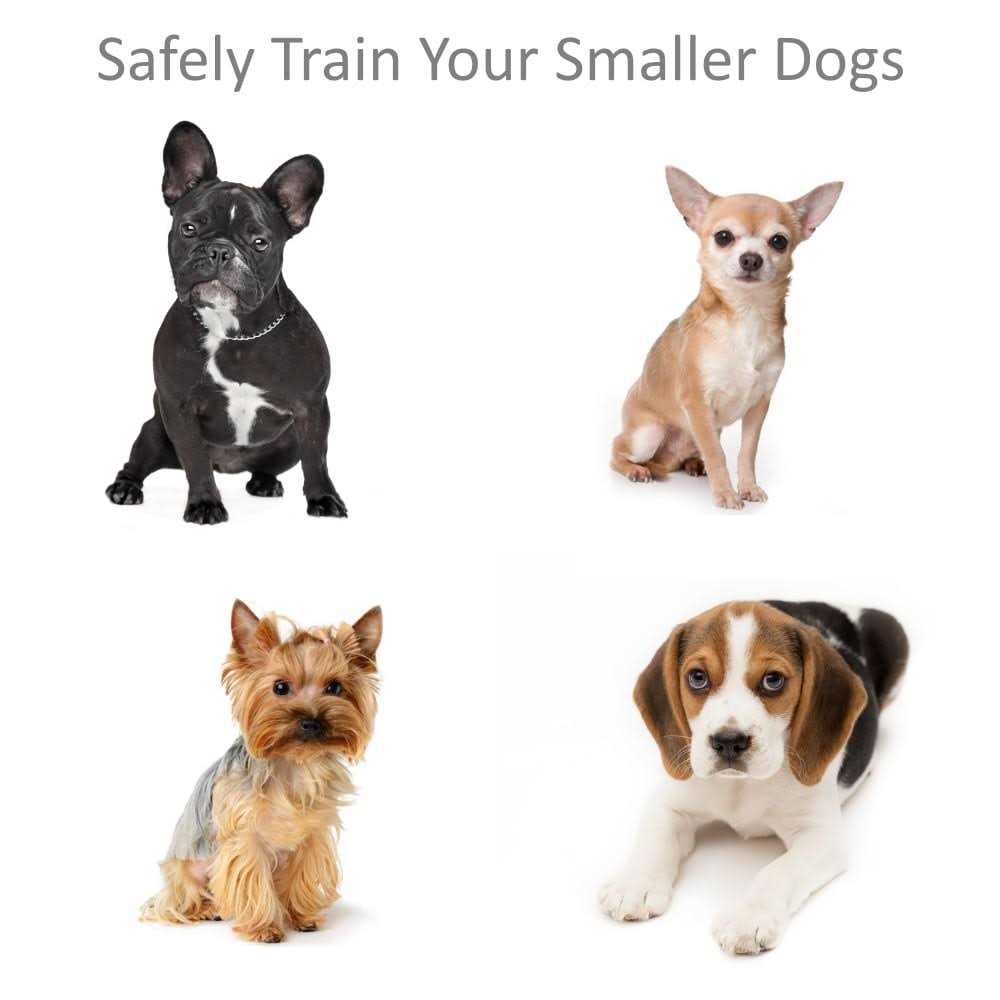 Shock Collar for Small Dogs with Remote S465072