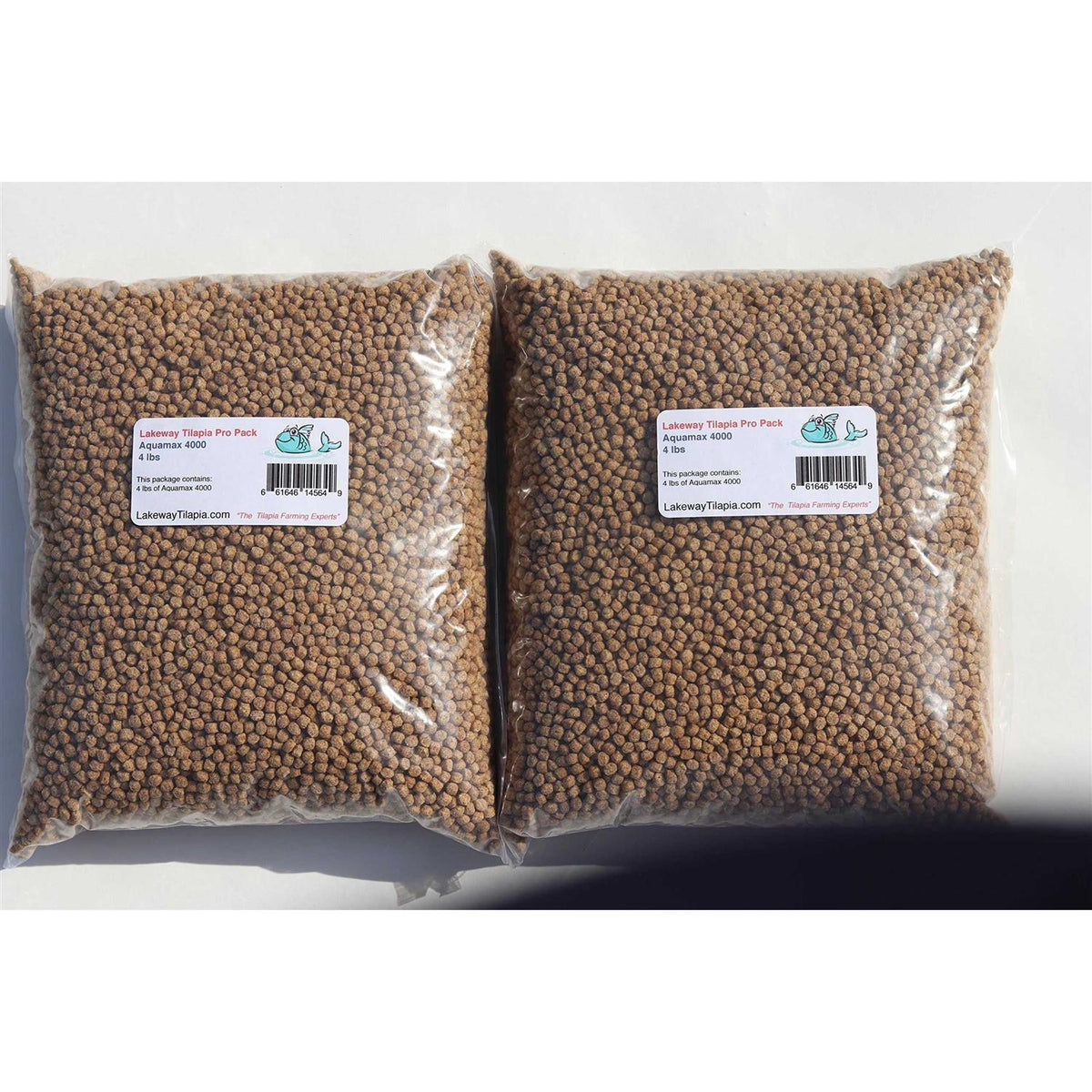 Tilapia Catfish Food H256072