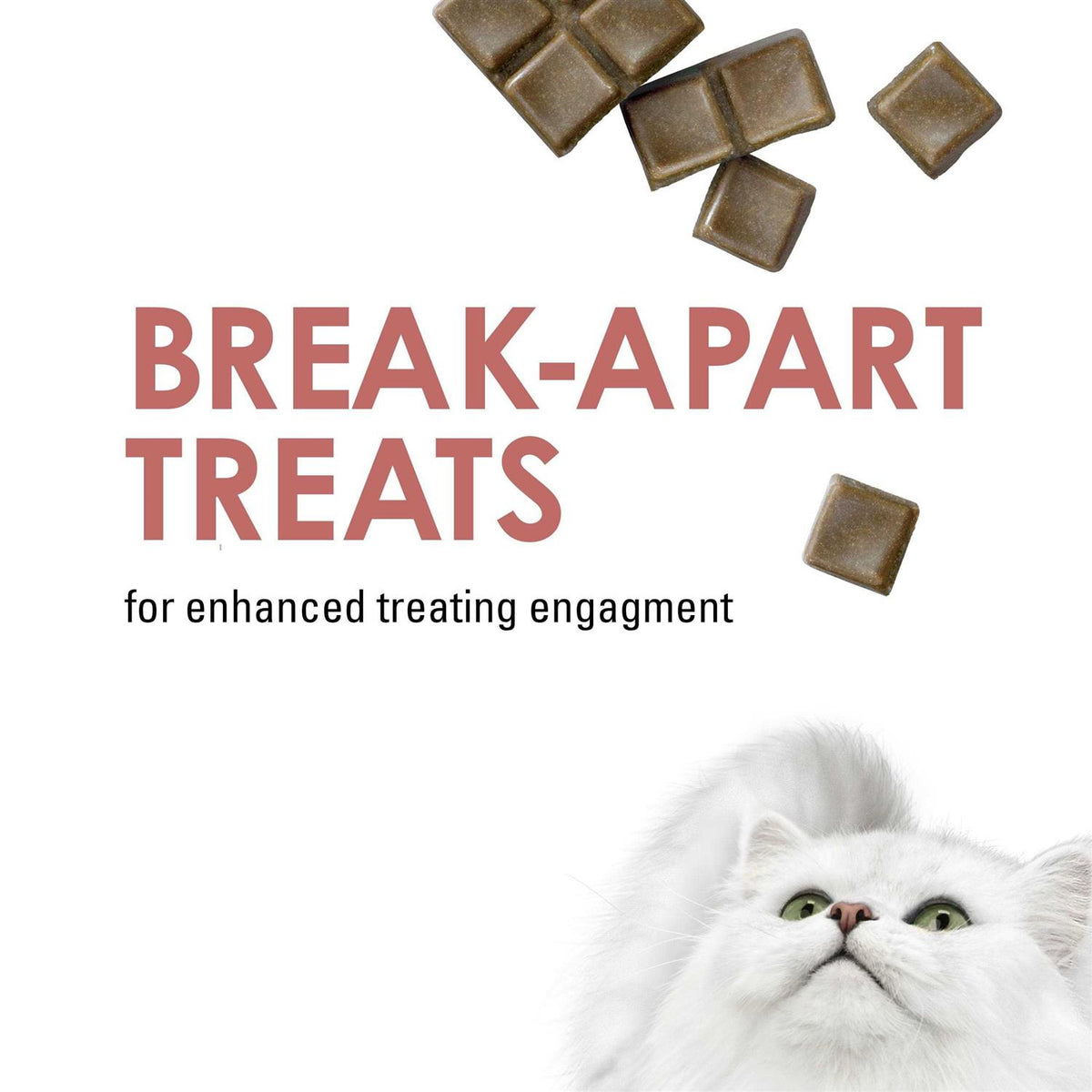 Limited Ingredient Salmon Flavor Cat Treats G5598