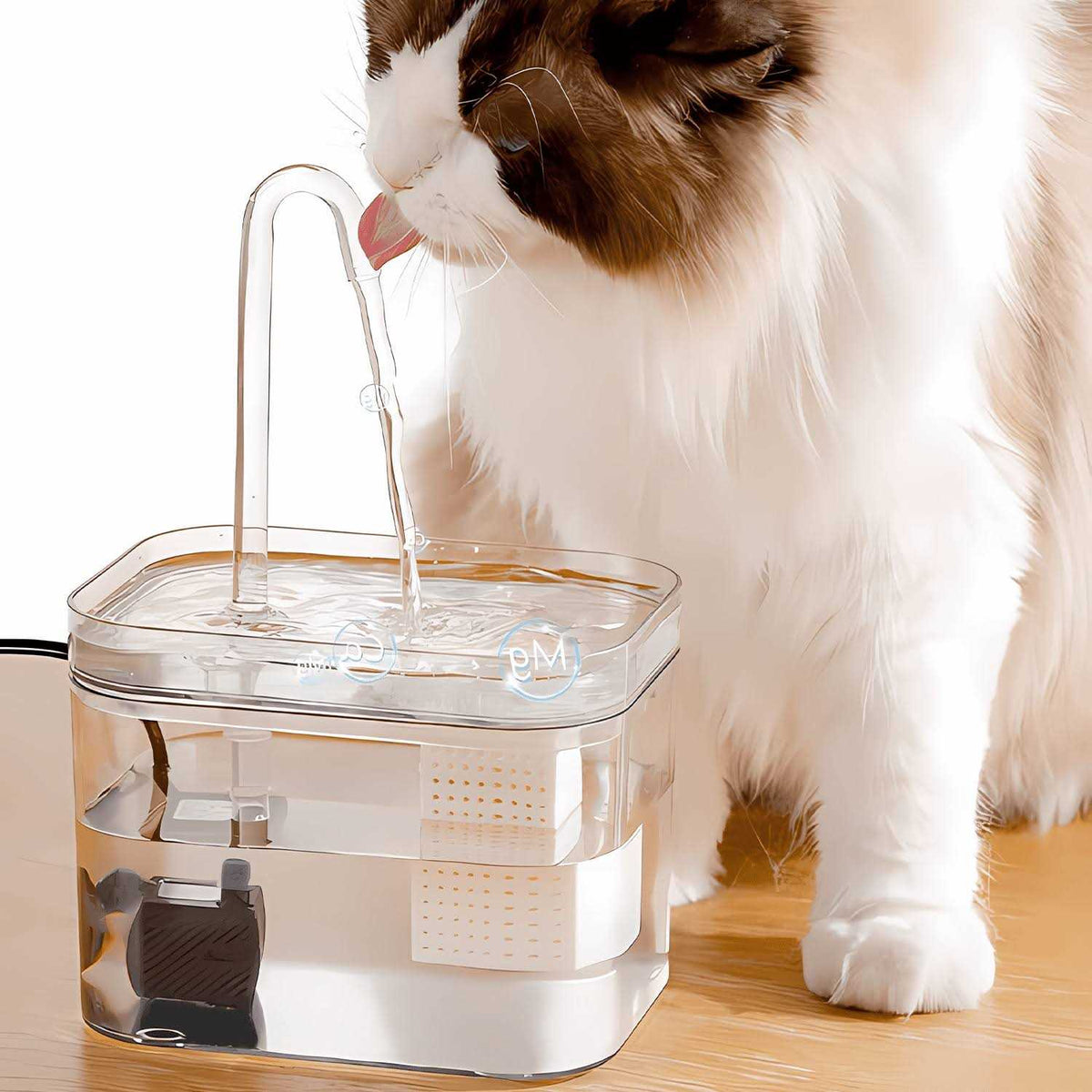 50oz Automatic Pet Water Fountain with Filters E7620