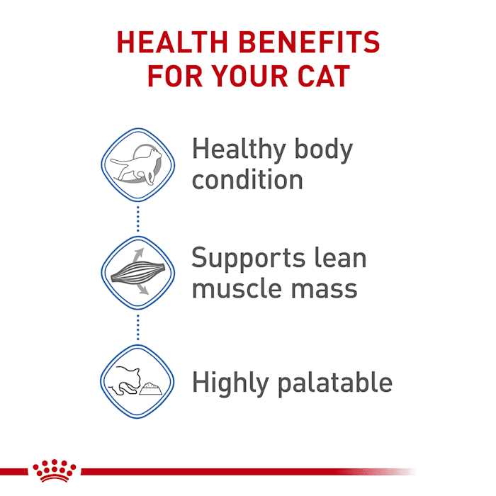 Adult Wet Cat Food Multipack B442337