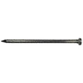 50 lbs Bright Common Nail H916747