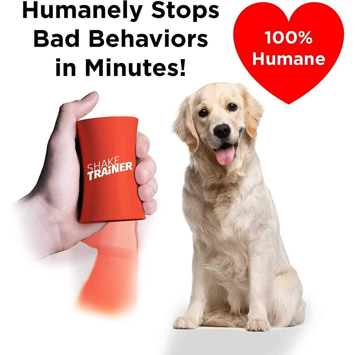 Dog Training Kit Y24863
