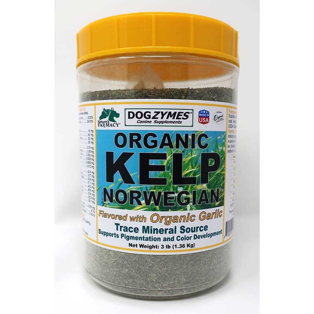 Organic Kelp with Garlic H893
