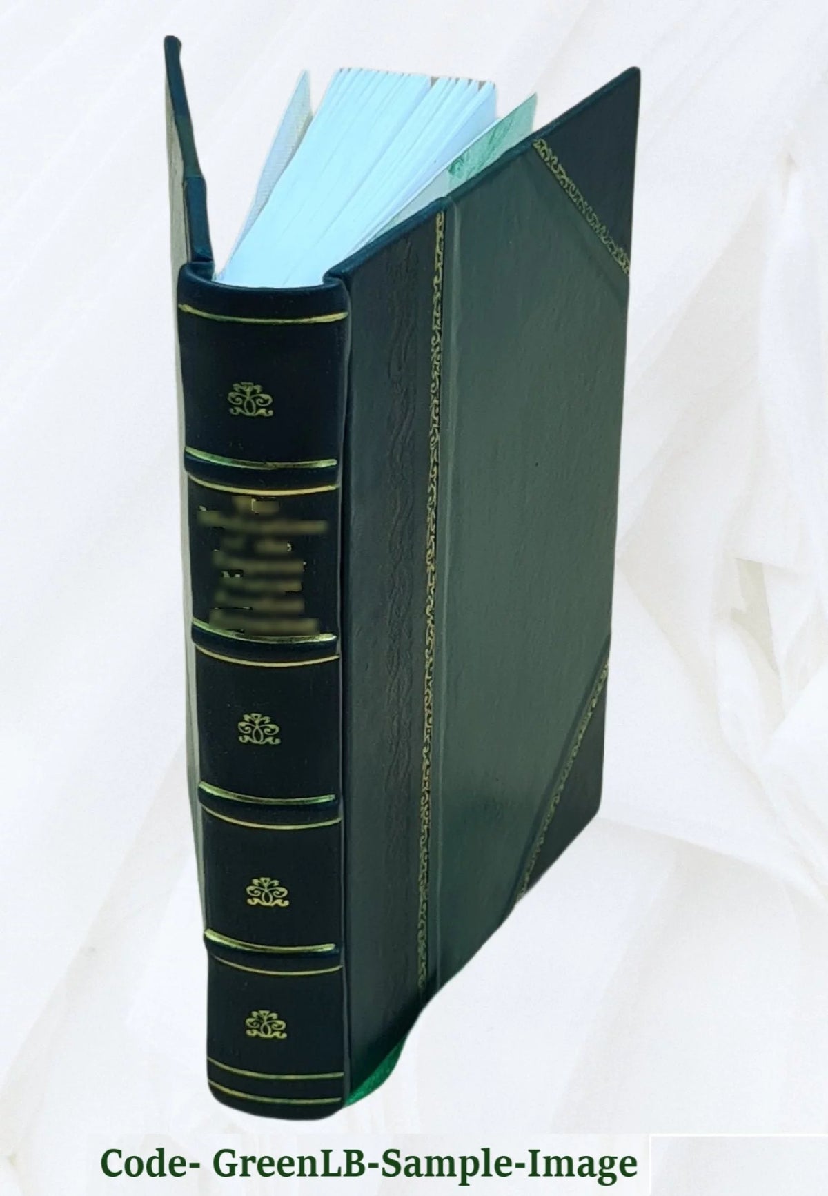 Mémoires de Mademoiselle Avrillion S42077