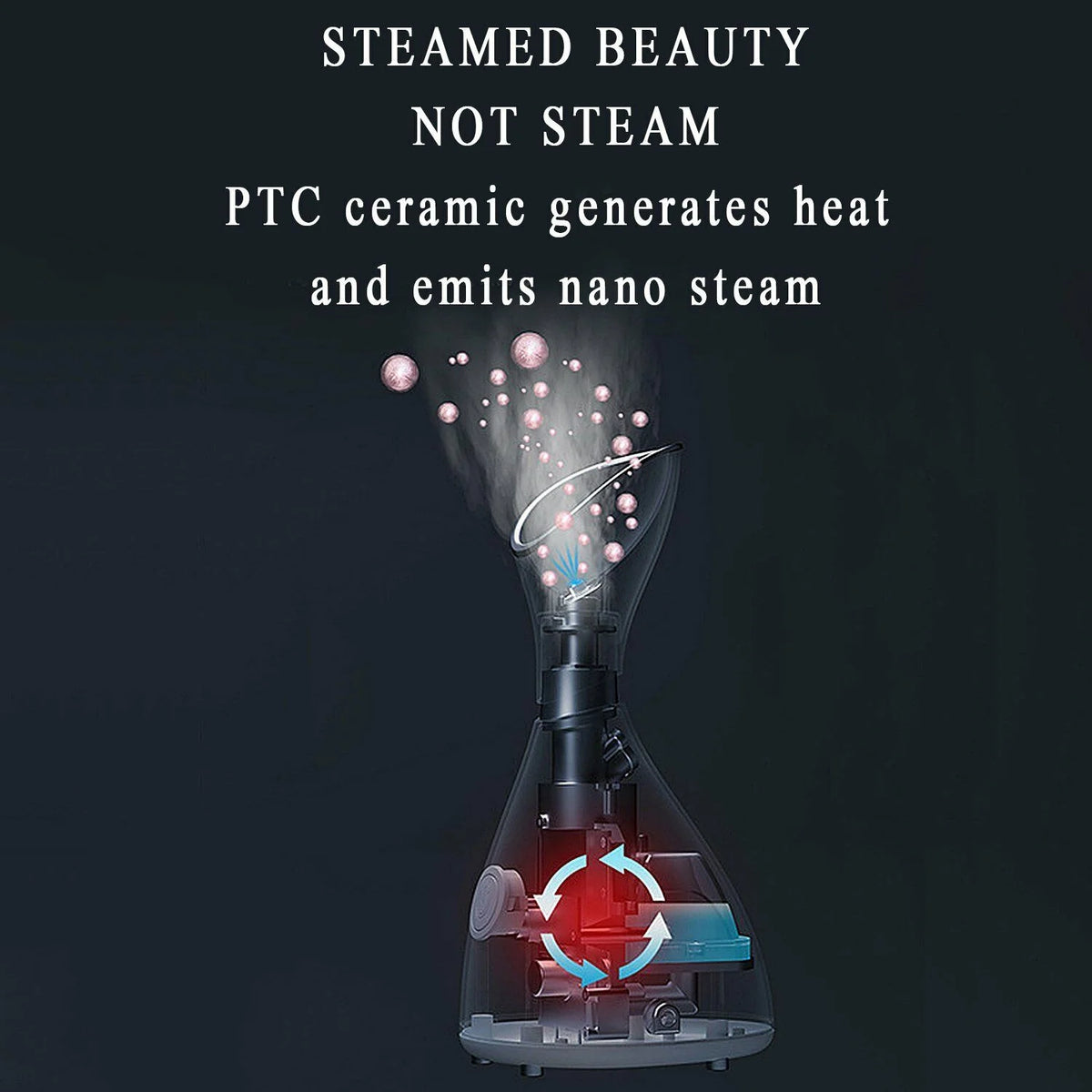 Warm Mist Facial Steamer with Acne Needle E8006
