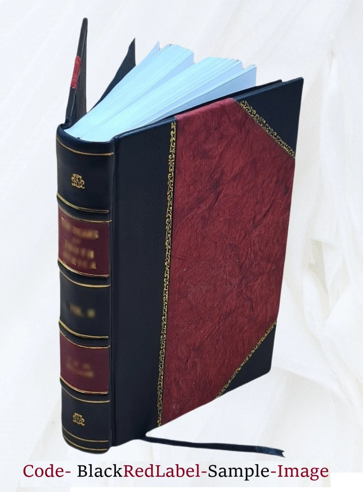 Mémoires de Mademoiselle Avrillion S42077